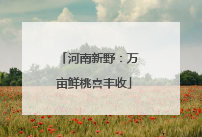 河南新野：万亩鲜桃喜丰收