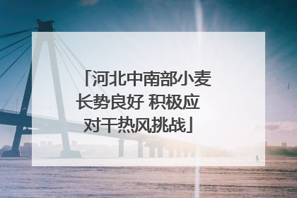 河北中南部小麦长势良好 积极应对干热风挑战