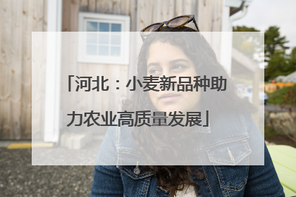 河北：小麦新品种助力农业高质量发展