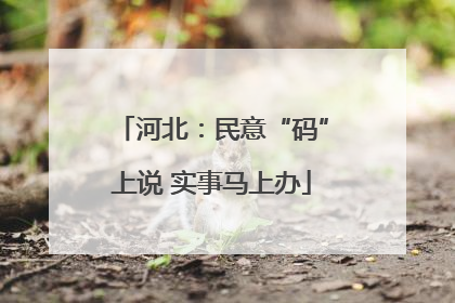 河北：民意“码”上说 实事马上办