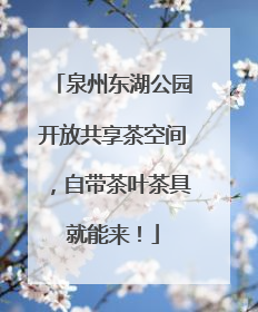 泉州东湖公园开放共享茶空间，自带茶叶茶具就能来！