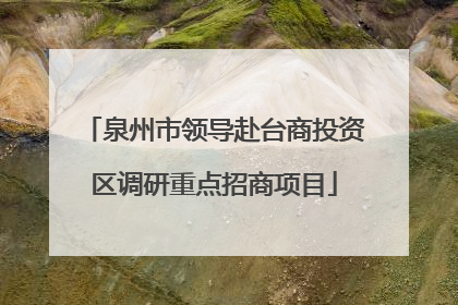 泉州市领导赴台商投资区调研重点招商项目