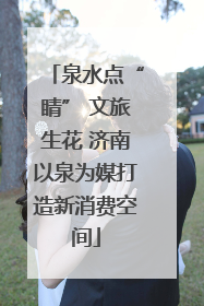 泉水点“睛” 文旅生花 济南以泉为媒打造新消费空间