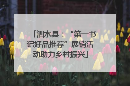 泗水县：“第一书记好品推荐”展销活动助力乡村振兴