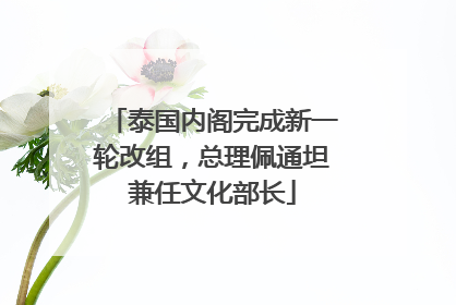 泰国内阁完成新一轮改组，总理佩通坦兼任文化部长