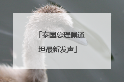 泰国总理佩通坦最新发声
