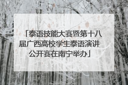 泰语技能大赛暨第十八届广西高校学生泰语演讲公开赛在南宁举办