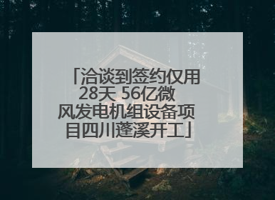 洽谈到签约仅用28天 56亿微风发电机组设备项目四川蓬溪开工