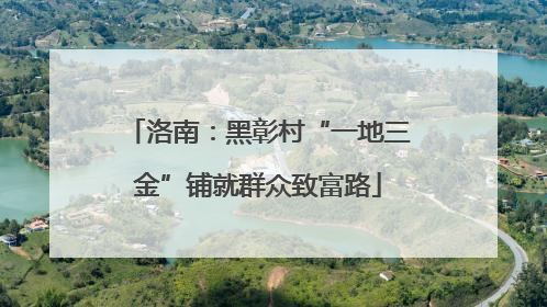 洛南：黑彰村“一地三金”铺就群众致富路