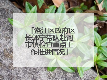 洛江区政府区长郭宁带队赴河市镇检查重点工作推进情况