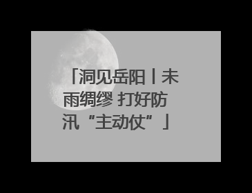洞见岳阳丨未雨绸缪 打好防汛“主动仗”