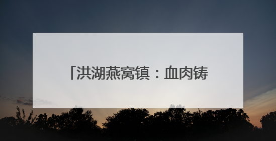 洪湖燕窝镇：血肉铸长堤 奋进谱新曲