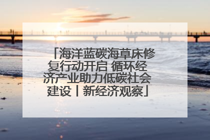海洋蓝碳海草床修复行动开启 循环经济产业助力低碳社会建设丨新经济观察