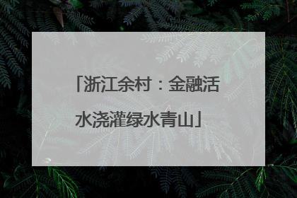 浙江余村：金融活水浇灌绿水青山