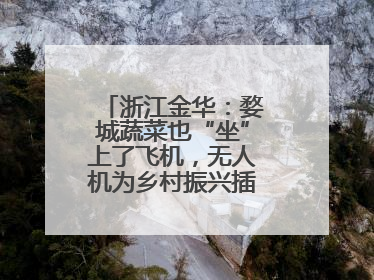 浙江金华：婺城蔬菜也“坐”上了飞机，无人机为乡村振兴插上“翅膀”