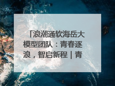 浪潮通软海岳大模型团队：青春逐浪，智启新程｜青春思政课