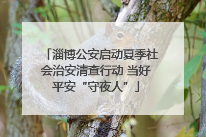 淄博公安启动夏季社会治安清查行动 当好平安“守夜人”