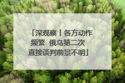 深观察丨各方动作频繁  俄乌第二次直接谈判前景不明