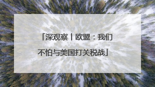 深观察丨欧盟：我们不怕与美国打关税战