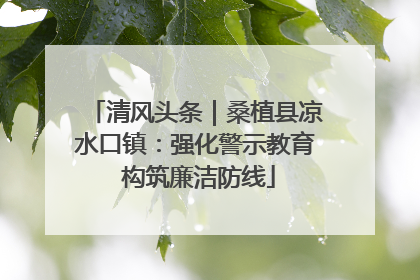 清风头条｜桑植县凉水口镇：强化警示教育 构筑廉洁防线