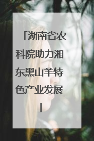 湖南省农科院助力湘东黑山羊特色产业发展