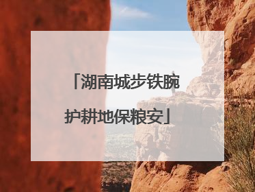 湖南城步铁腕护耕地保粮安