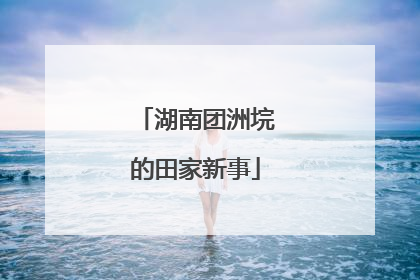 湖南团洲垸的田家新事
