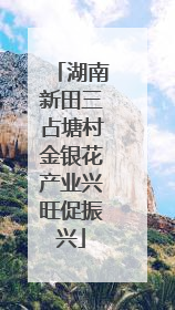 湖南新田三占塘村金银花产业兴旺促振兴