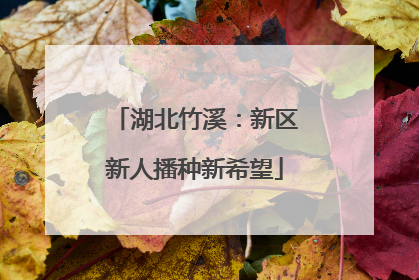 湖北竹溪：新区新人播种新希望