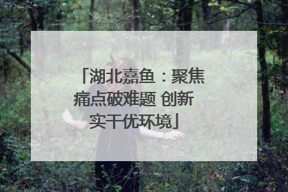 湖北嘉鱼：聚焦痛点破难题 创新实干优环境