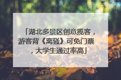 湖北多景区创意揽客，游客背《离骚》可免门票，大学生通过率高