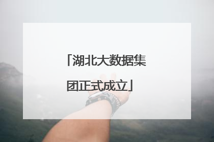 湖北大数据集团正式成立