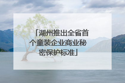 湖州推出全省首个童装企业商业秘密保护标准