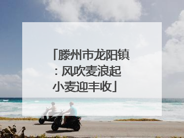 滕州市龙阳镇：风吹麦浪起 小麦迎丰收