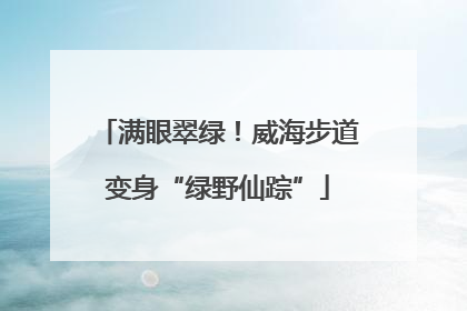 满眼翠绿！威海步道变身“绿野仙踪”