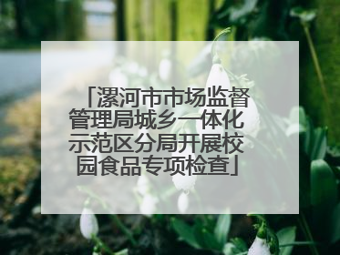 漯河市市场监督管理局城乡一体化示范区分局开展校园食品专项检查