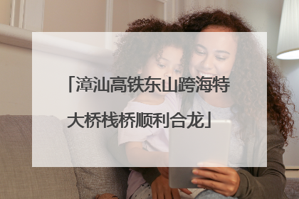 漳汕高铁东山跨海特大桥栈桥顺利合龙