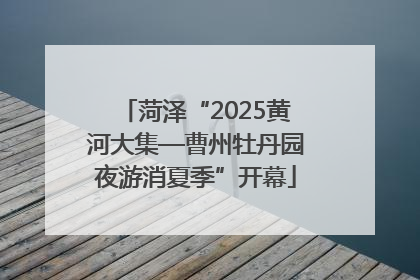 菏泽“2025黄河大集—曹州牡丹园夜游消夏季”开幕