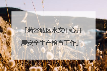菏泽城区水文中心开展安全生产检查工作