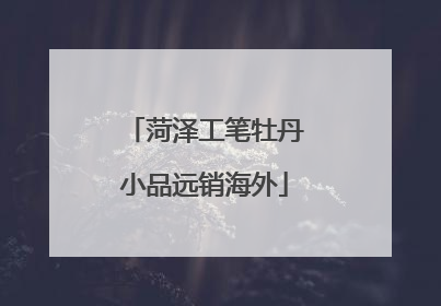 菏泽工笔牡丹小品远销海外