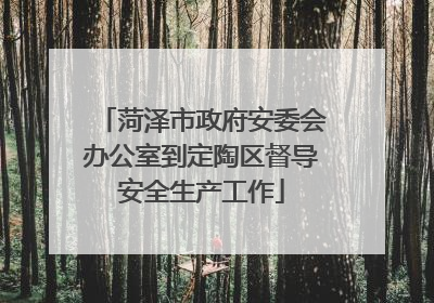菏泽市政府安委会办公室到定陶区督导安全生产工作