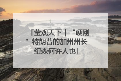 莹观天下｜“硬刚”特朗普的加州州长纽森何许人也