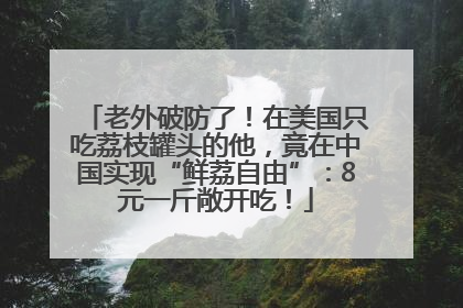 老外破防了！在美国只吃荔枝罐头的他，竟在中国实现“鲜荔自由”：8元一斤敞开吃！