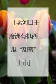 老河口王府洲有机西瓜“甜蜜”上市