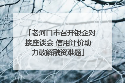 老河口市召开银企对接座谈会 信用评价助力破解融资难题