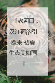 老河口：汉江荷韵引翠来 初夏生态美如画