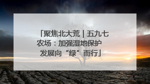 聚焦北大荒｜五九七农场：加强湿地保护 发展向“绿”而行