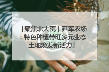 聚焦北大荒｜延军农场：特色种植带旺多元业态 土地焕发新活力