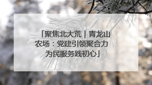 聚焦北大荒｜青龙山农场：党建引领聚合力 为民服务践初心