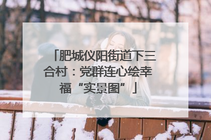 肥城仪阳街道下三合村：党群连心绘幸福“实景图”